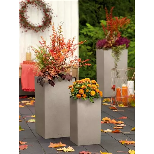 LECHUZA CANTO Stone 30 high