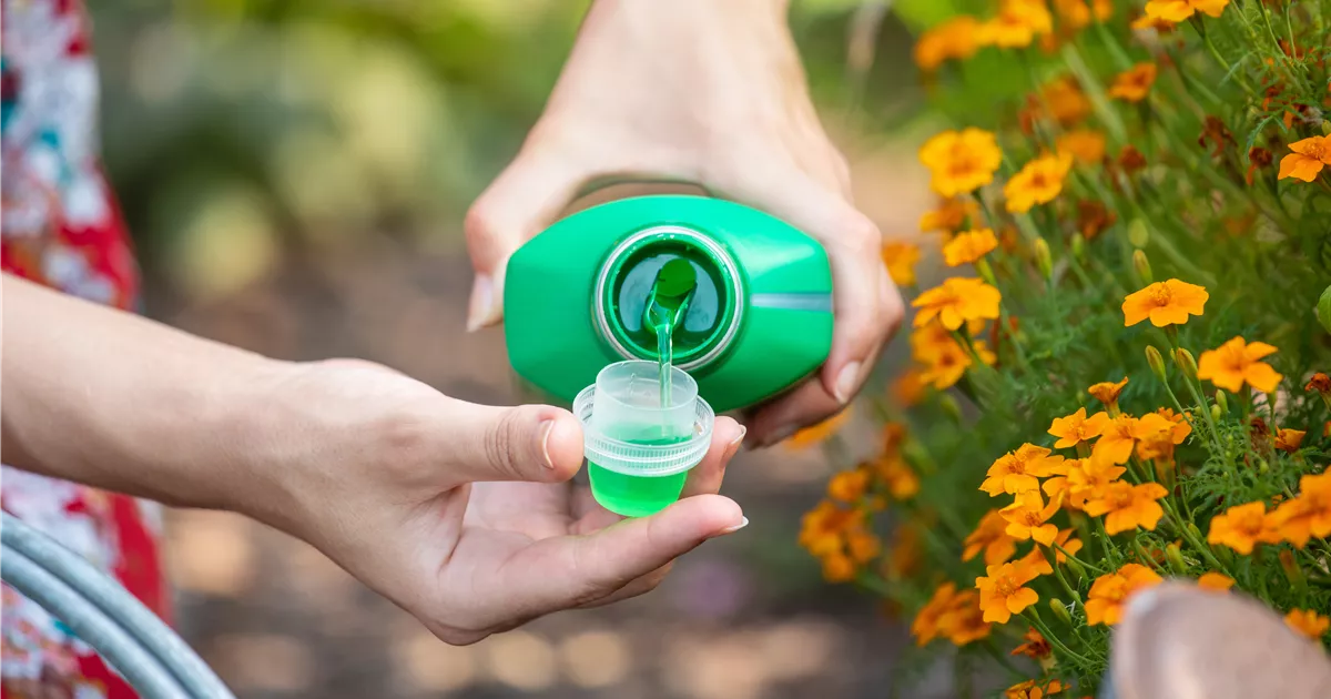 welchen dünger für gemüse im garten Gartencoach Gemüsedünger 5 kg – Für kräftiges Wachstum & gesunde Ernte –  Der Gartencoach