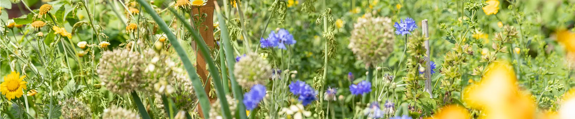 Gartendeko - "Bienenweide" Schild