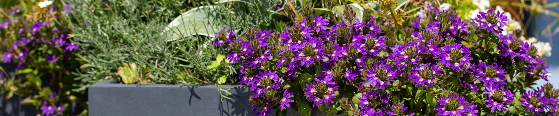 Blumenkübel