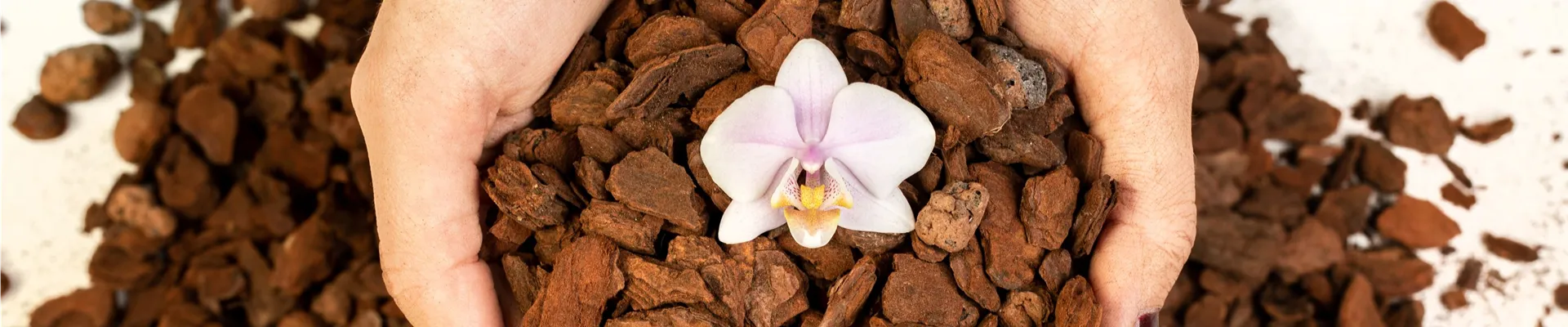 Orchideenerde