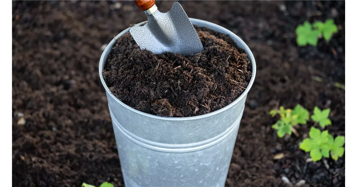 Blumenerde ohne Dnger gnstig online kaufen | Florado.de