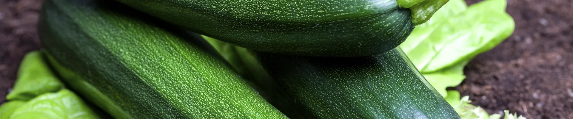 Cucurbita pepo subsp. pepo convar. giromontiina