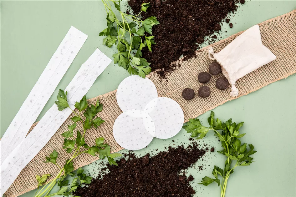 Saatgut frs kommende Gartenjahr