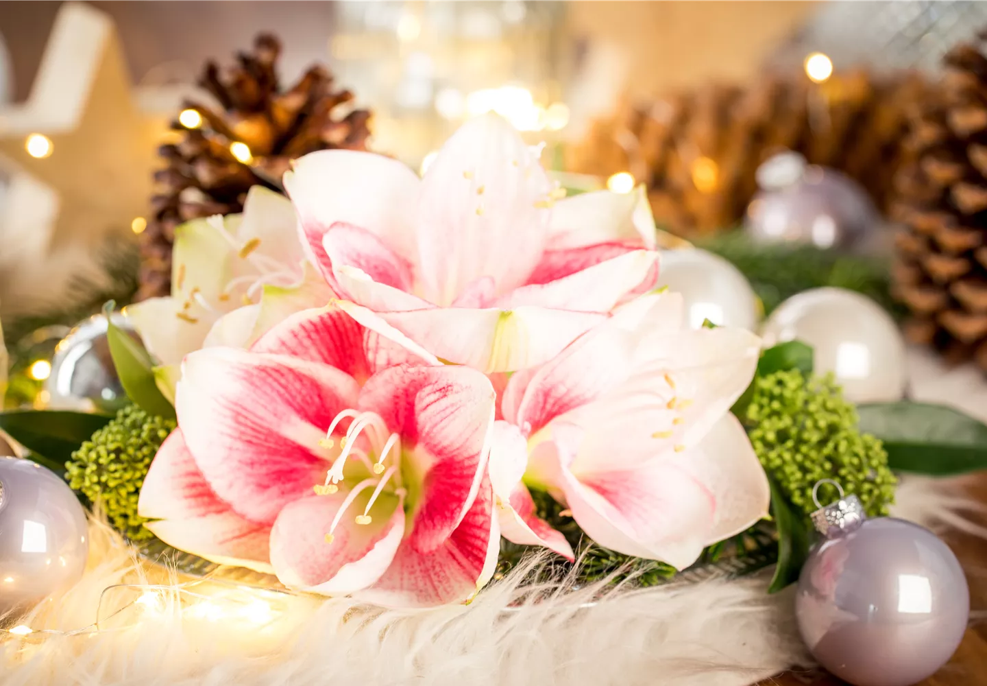Blüte als Weihnachtsdeko Blüte als Weihnachtsdeko