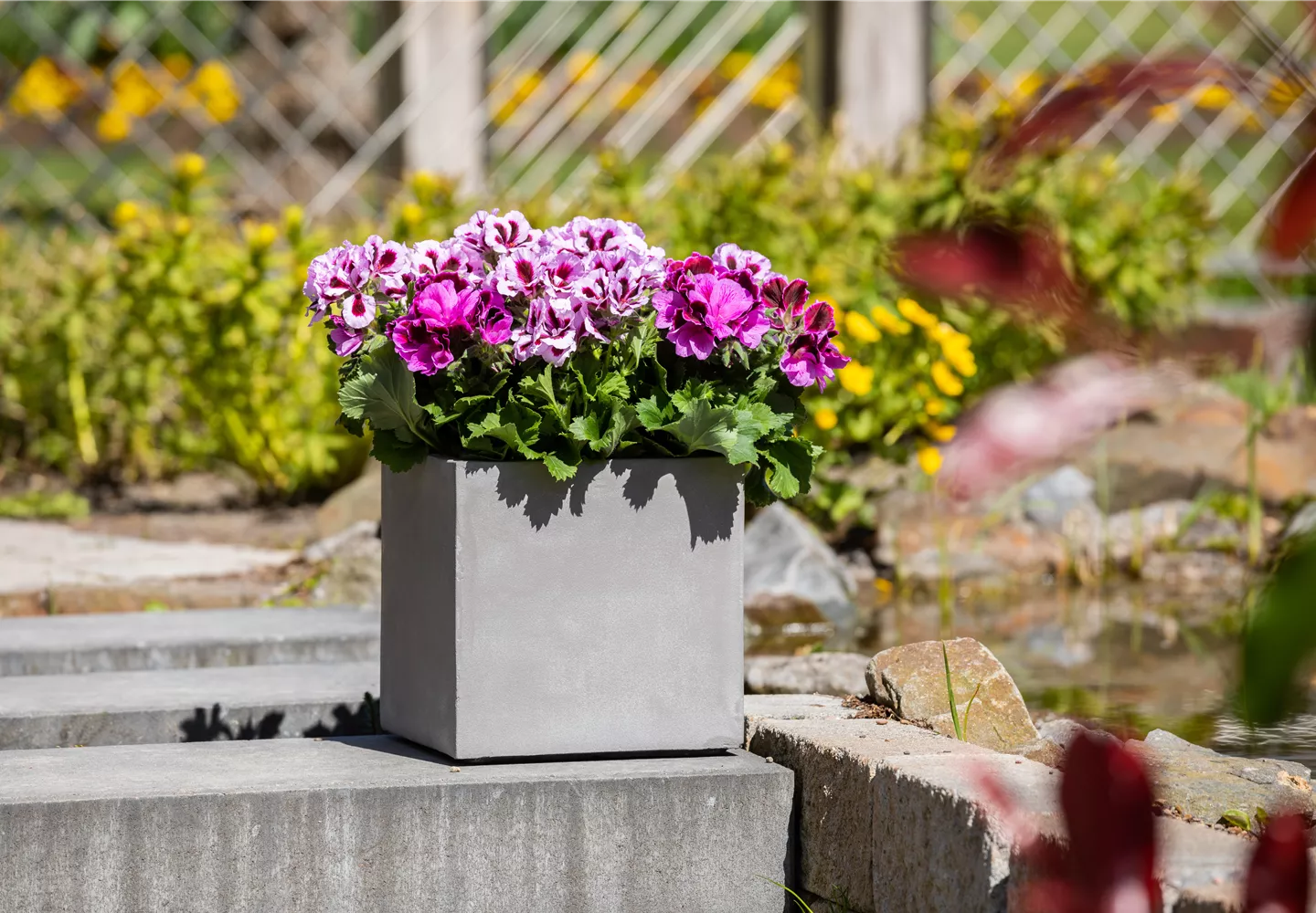 Bepflanzter Kübel im Gartenambiente Bepflanzter Kübel im Gartenambiente