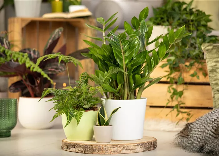 Grün in allen Facetten 