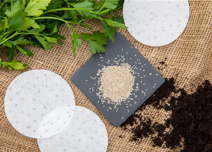 Jetzt nichts wie ran an die Samen