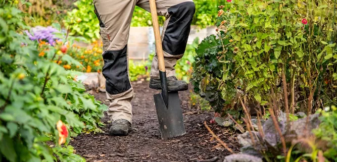 Gartenarbeit Gartenarbeit