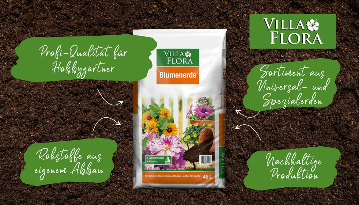 Villa Flora - Eigenschaften Villa Flora - Eigenschaften