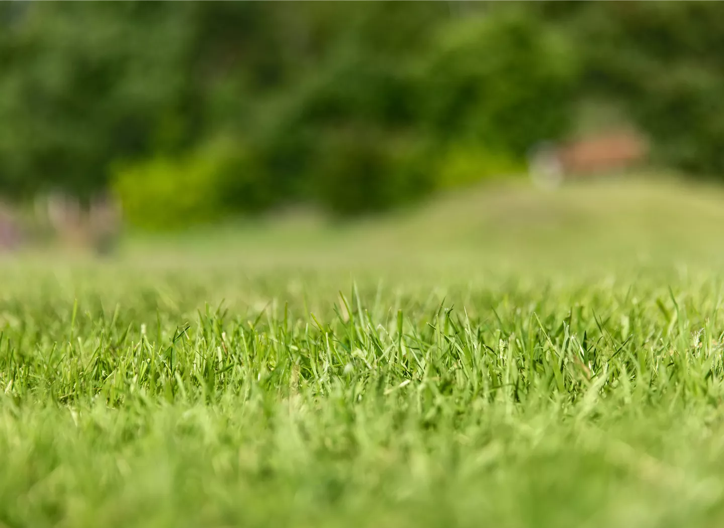 Gartenarbeit - gemähter Rasen Gartenarbeit - gemähter Rasen